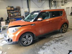 Salvage cars for sale at Elmsdale, NS auction: 2018 KIA Soul +