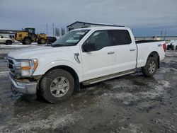 Salvage cars for sale at Airway Heights, WA auction: 2023 Ford F150 Supercrew