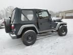 2002 Jeep Wrangler / TJ X