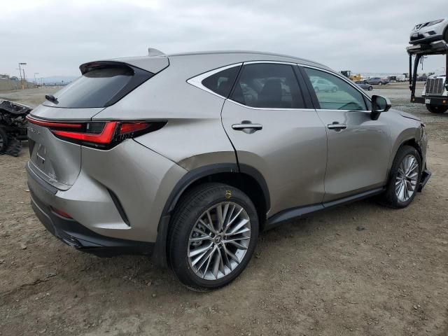 2025 Lexus NX 350H Base