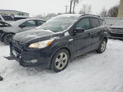 2014 Ford Escape SE en venta en Wayland, MI