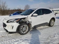 Salvage cars for sale at Columbia Station, OH auction: 2020 Ford Escape SE