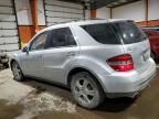 2006 Mercedes-Benz ML 500