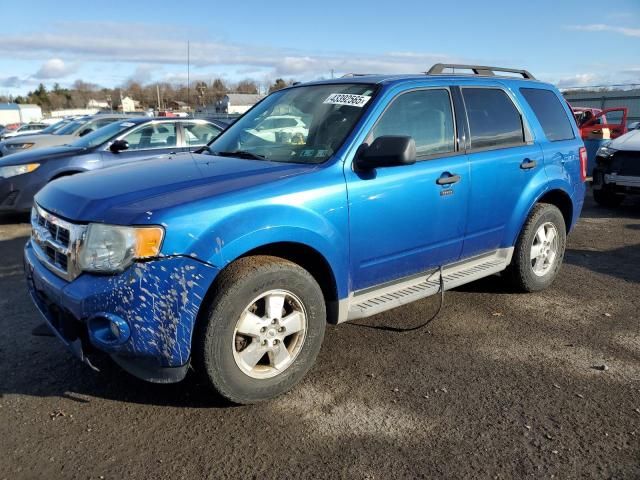 2011 Ford Escape XLT