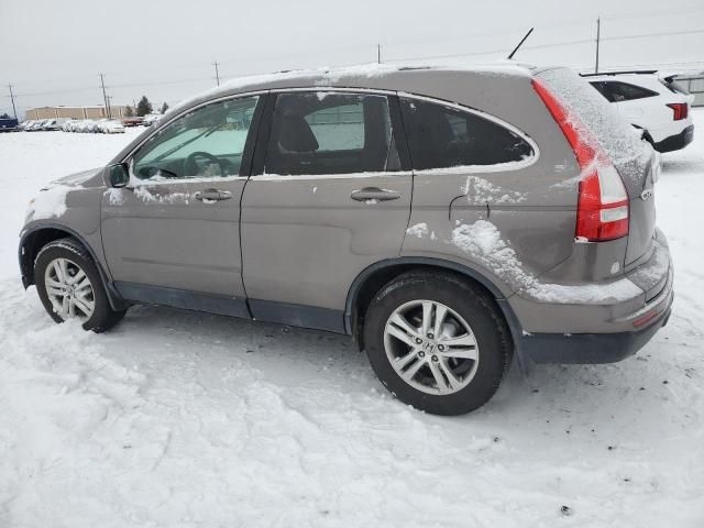 2010 Honda CR-V EXL