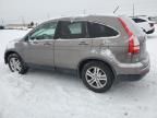 2010 Honda CR-V EXL