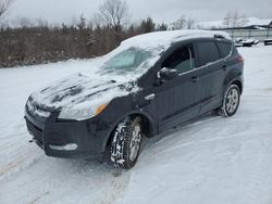 Salvage cars for sale at Columbia Station, OH auction: 2015 Ford Escape SE