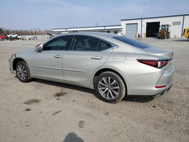 2019 Lexus ES 350