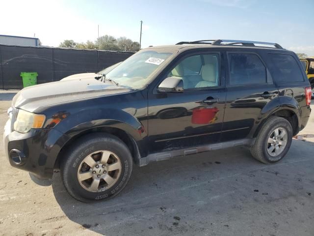 2011 Ford Escape Limited