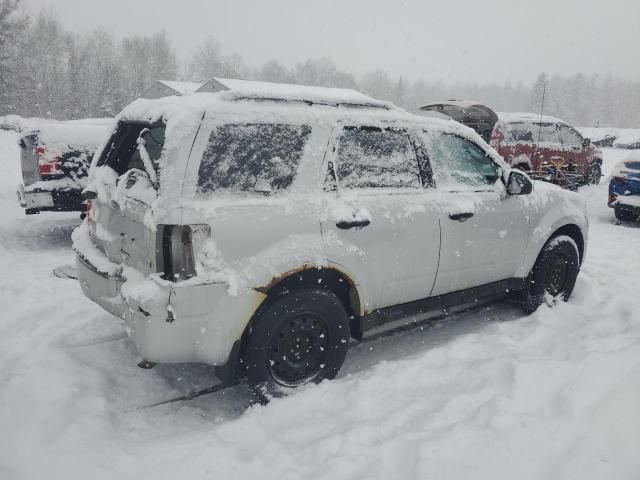 2011 Ford Escape XLT