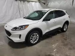 Salvage cars for sale at Walton, KY auction: 2022 Ford Escape SE