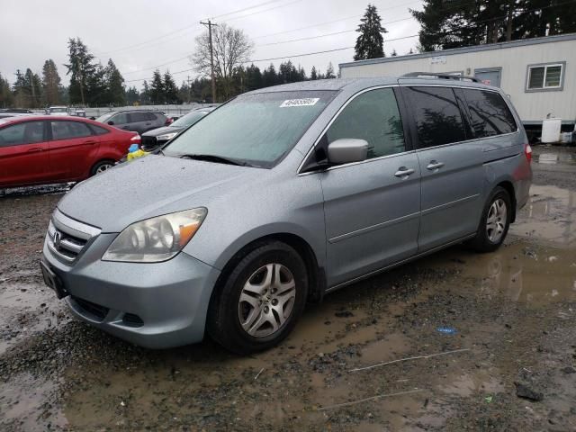 2005 Honda Odyssey EX