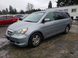 Salvage cars for sale at Graham, WA auction: 2005 Honda Odyssey EX