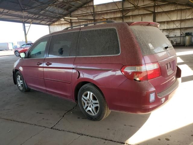 2005 Honda Odyssey EXL