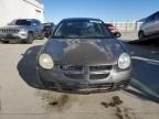 2004 Dodge Neon SXT