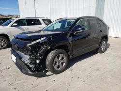 Salvage cars for sale at Reno, NV auction: 2024 Toyota Rav4 XLE