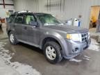 2009 Ford Escape XLS