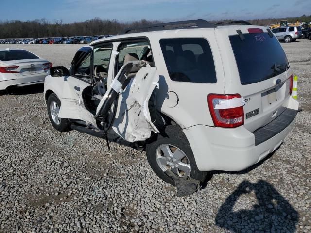 2010 Ford Escape XLT