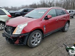 Cadillac salvage cars for sale: 2012 Cadillac SRX Performance Collection