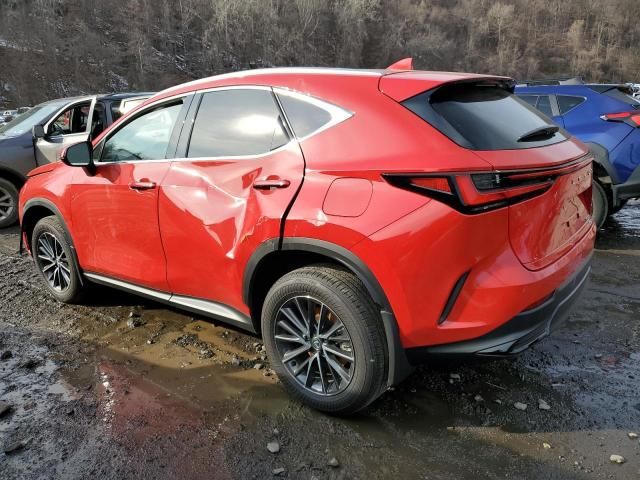 2024 Lexus NX 350 Base