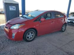 Salvage cars for sale at Phoenix, AZ auction: 2010 Toyota Prius