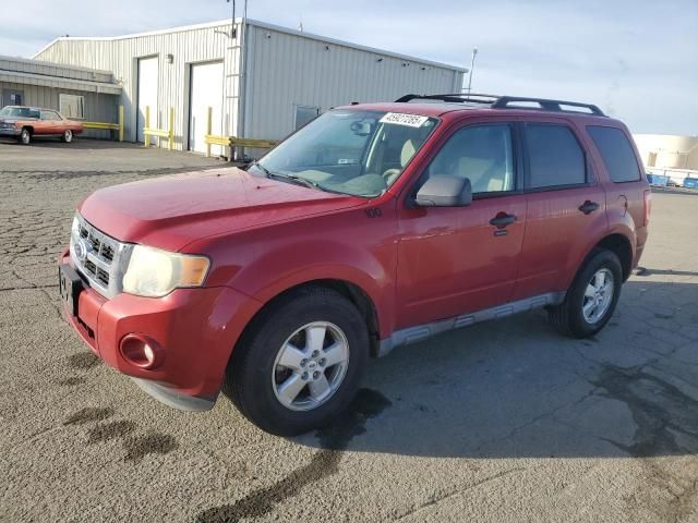 2010 Ford Escape XLT