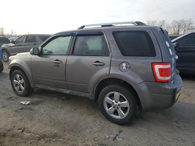 2011 Ford Escape Limited