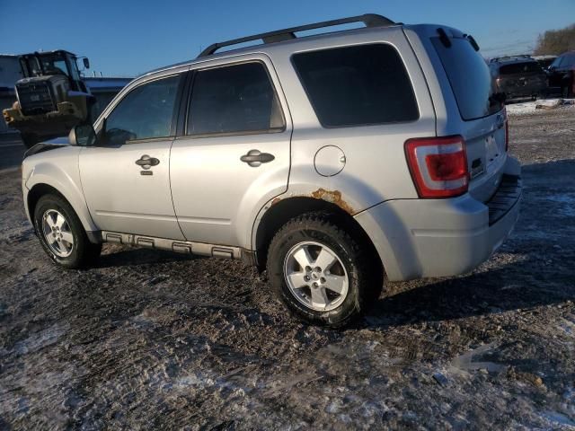 2012 Ford Escape XLT