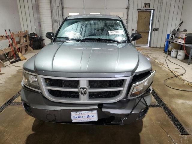 2011 Dodge Dakota SLT