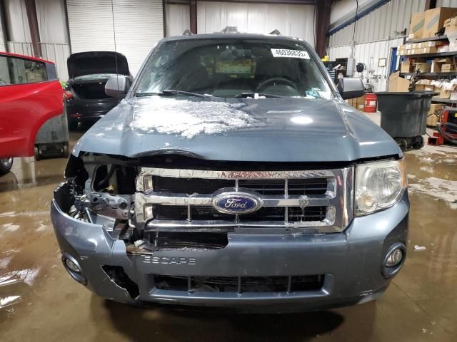 2011 Ford Escape XLT