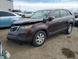 Salvage cars for sale at Tucson, AZ auction: 2011 KIA Sorento Base