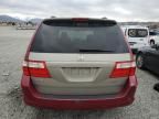 2005 Honda Odyssey EXL