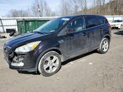 Salvage cars for sale at Hurricane, WV auction: 2013 Ford Escape SE