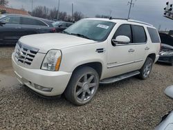 Cadillac Vehiculos salvage en venta: 2007 Cadillac Escalade Luxury