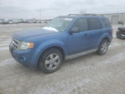 Salvage cars for sale at Kansas City, KS auction: 2010 Ford Escape XLT