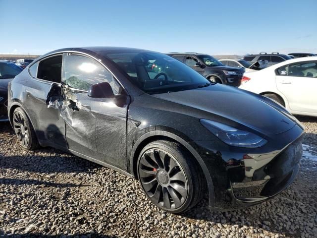 2025 Tesla Model Y