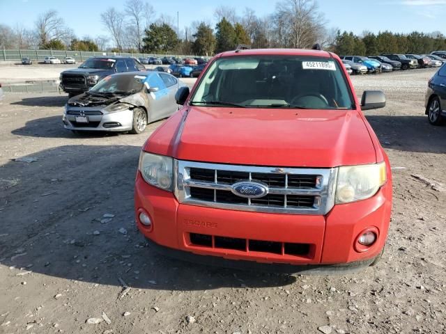 2009 Ford Escape XLT