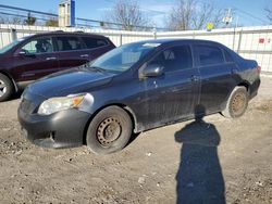 Salvage cars for sale at Walton, KY auction: 2009 Toyota Corolla Base