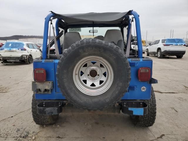 1993 Jeep Wrangler / YJ S