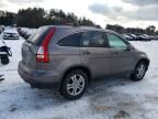 2010 Honda CR-V EXL