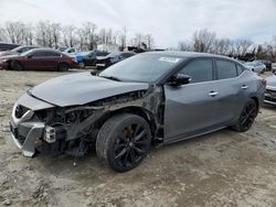 Salvage cars for sale at Baltimore, MD auction: 2017 Nissan Maxima 3.5S