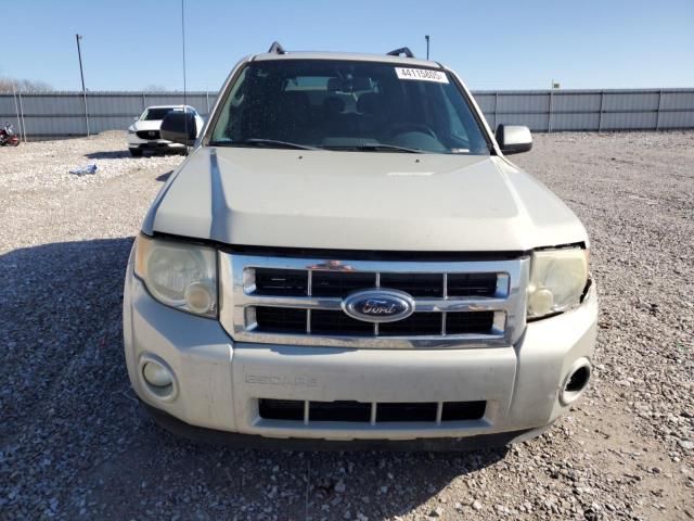 2009 Ford Escape XLT