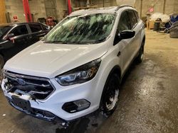 Salvage cars for sale from Copart Cookstown, ON: 2017 Ford Escape SE