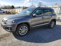 Salvage cars for sale at Grantville, PA auction: 2016 Volkswagen Tiguan S