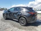 2023 Lexus NX 250