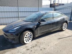 Salvage cars for sale at Sun Valley, CA auction: 2023 Tesla Model 3