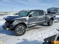 Toyota salvage cars for sale: 2021 Toyota Tacoma Double Cab