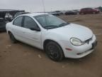 2000 Dodge Neon Base