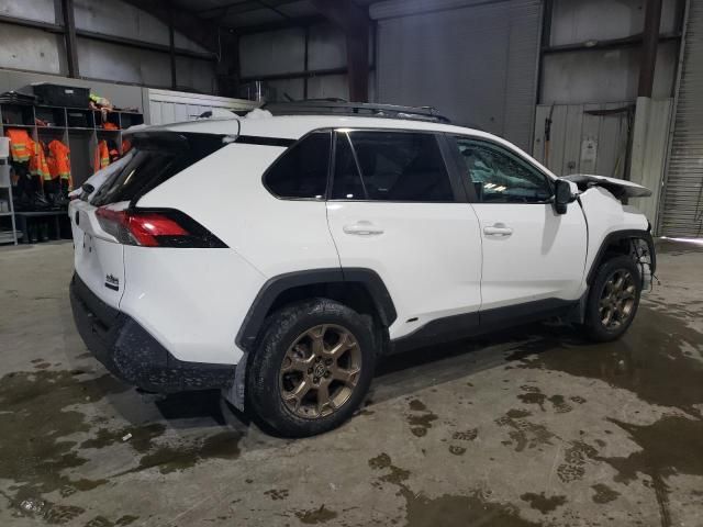 2023 Toyota Rav4 Woodland Edition