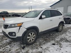 Salvage cars for sale at Barberton, OH auction: 2011 KIA Sorento Base